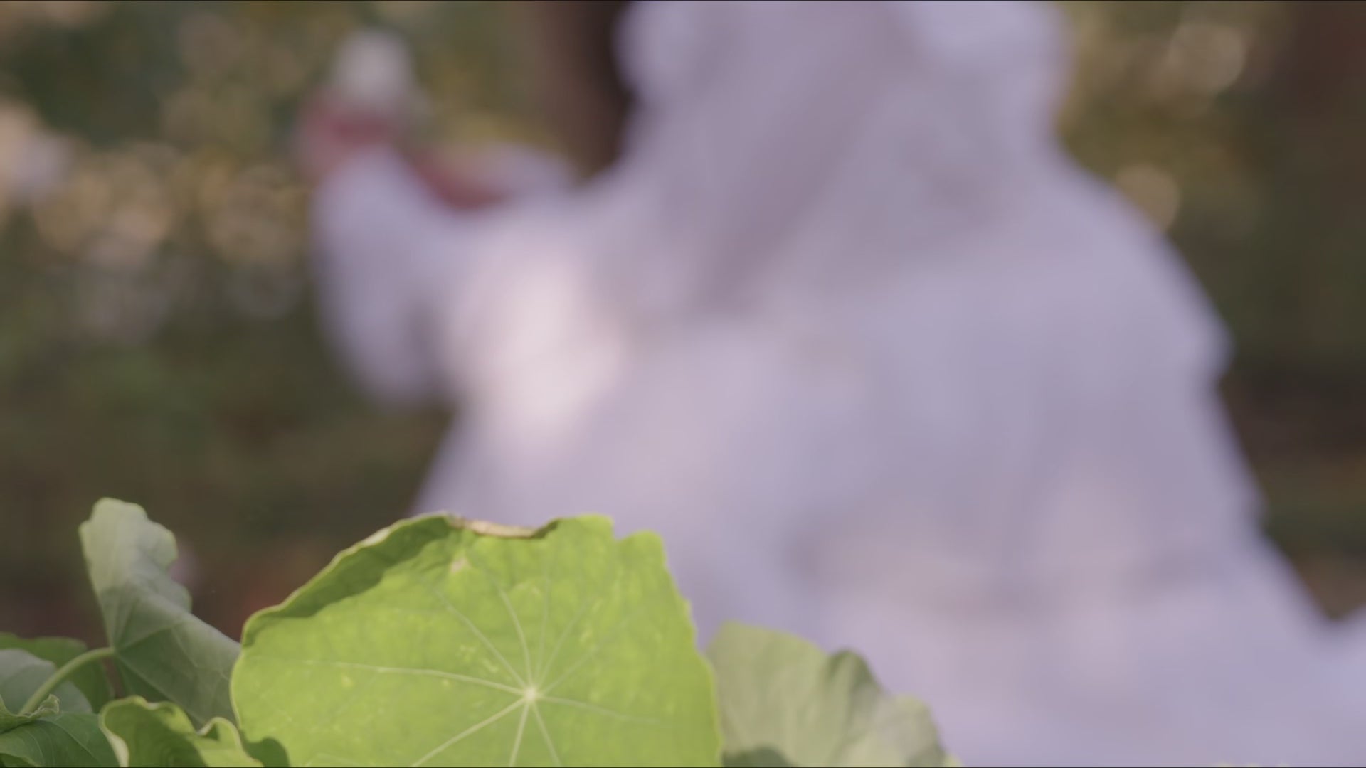 Lataa video: 